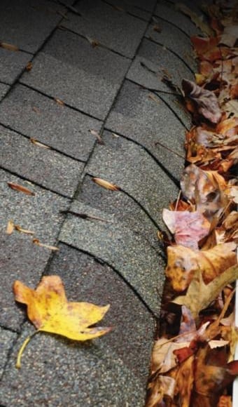Inspecting a clogged gutter packed with autumn leaves